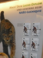Luchsquiz des NABU (Hier klicken zum Vergößern) Luchsquiz des NABU